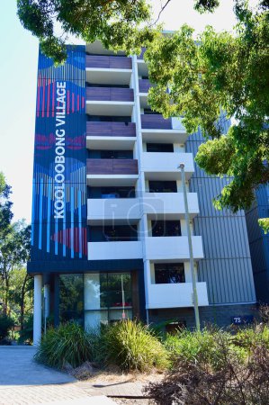 Téléchargez les photos : Instantanés à l'Université de Wollongong en Australie - en image libre de droit