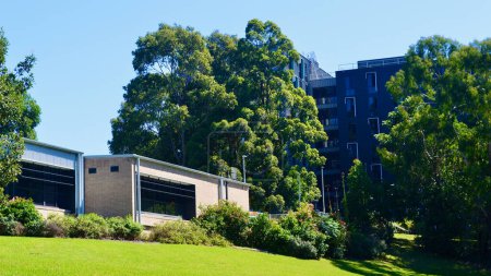 Téléchargez les photos : Instantanés à l'Université de Wollongong en Australie - en image libre de droit
