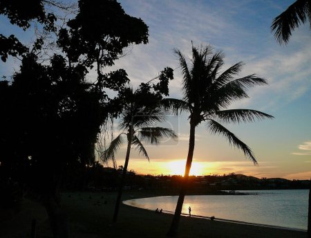 Una vista en Airlie Beach en el norte tropical de Queensland, Australia