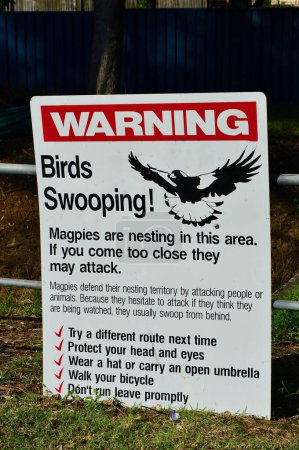 Photo for A sign warning that magpies swoop in this area. - Royalty Free Image