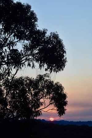 Sonnenuntergang in den Blue Mountains von Australien.