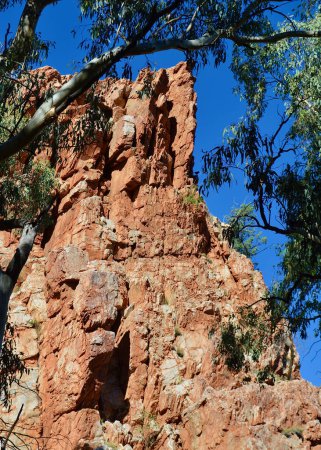 A view of the red cliff faces of the Standley Chasm in the Northern Territory of Australia.