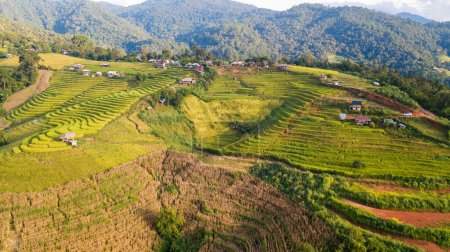 Foto de Vista aérea en las terrazas de arroz de Pa Pong Piang con alojamiento en la montaña, Mae Chaem, Chiang Mai, norte de Tailandia, concepto agrícola y de deforestación - Imagen libre de derechos
