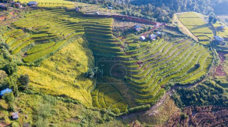 Photo for Aerial view at Pa Pong Piang Rice Terraces with homestay on mountain, Mae Chaem, Chiang Mai, Northern of Thailand, agricultural and deforestation concept - Royalty Free Image