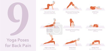 Illustration for Yoga poses for Back Pain. Elderly woman practicing yoga asana. Healthy lifestyle. Full body yoga, fitness, aerobic and exercises workout. Flat cartoon character. Vector illustration - Royalty Free Image