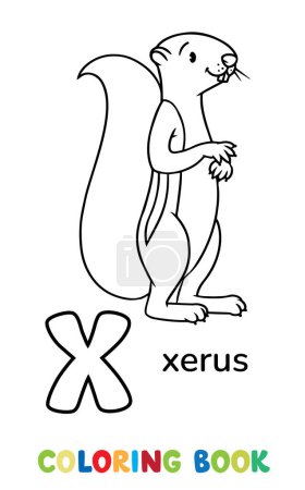 Illustration for Xerus or squirrel. Children vector illustration. Animals ABC coloring book for kids. Letter X - Royalty Free Image