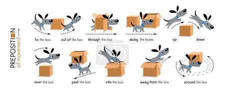 Hund und Kiste. Präposition von Bewegungen zum Erlernen der englischen Sprache. Kinder-Vektor-Cartoon mit Beschreibung des lustigen Tieres und der Schachtel. Isolierte Illustration auf weißem Hintergrund für Kinder