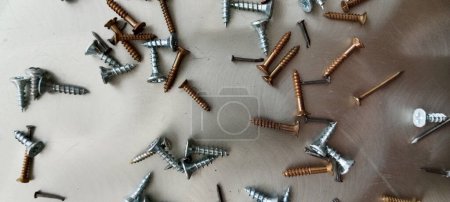 Photo for Different size screws on white background. - Royalty Free Image