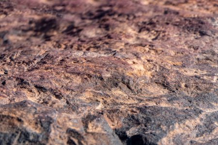 Téléchargez les photos : Surface colorée de pierre minéralisée. Cratère Ramon. Désert du Néguev. Israël. Concentration sélective - en image libre de droit