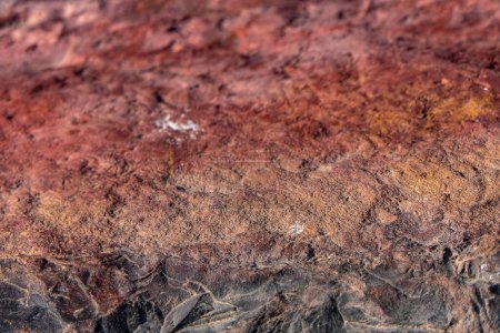 Téléchargez les photos : Surface colorée de pierre minéralisée. Cratère Ramon. Désert du Néguev. Israël. Concentration sélective - en image libre de droit