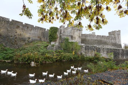 Château médiéval de Cahir et rivière en Irlande