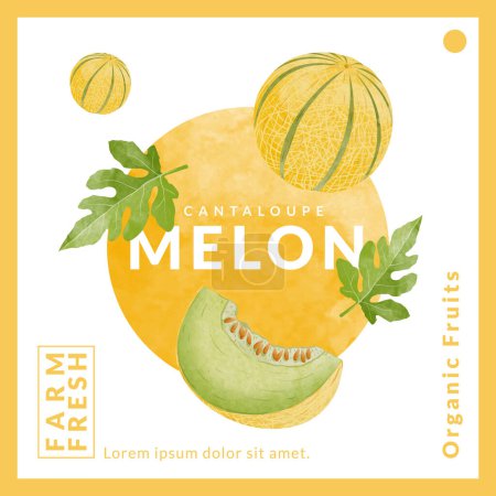 Téléchargez les illustrations : Cantaloupe Melon packaging design templates, watercolour style vector illustration. - en licence libre de droit