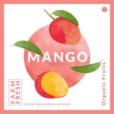 Ilustración de Mango packaging design templates, watercolour style vector illustration. - Imagen libre de derechos