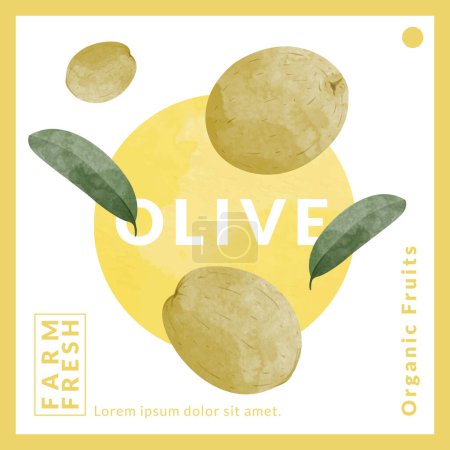 Téléchargez les illustrations : Olive packaging design templates, watercolour style vector illustration. - en licence libre de droit