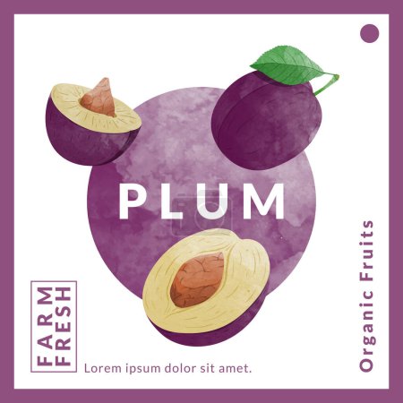 Illustration for Plum packaging design templates, watercolour style vector illustration. - Royalty Free Image