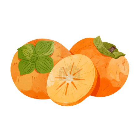 Illustration for Persimmon fruit Design elements. watercolour style vector illustration. - Royalty Free Image