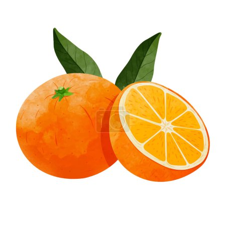 Ilustración de Mandarina fruta naranja Elementos de diseño. acuarela estilo vector ilustración. - Imagen libre de derechos