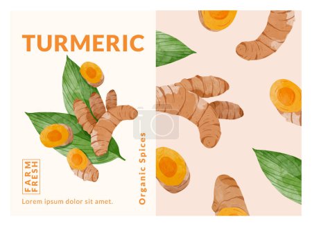 Turmeric packaging design templates, watercolour style vector illustration.