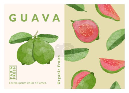 Guava Packaging template vector illustration 