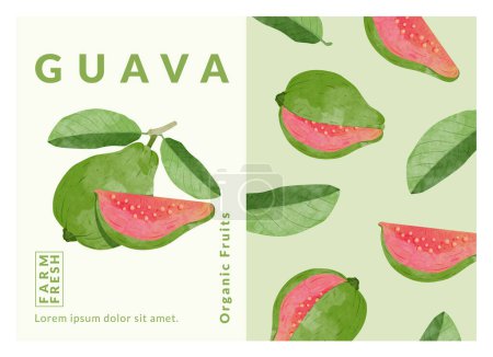 Guava Embalaje plantilla vector ilustración 