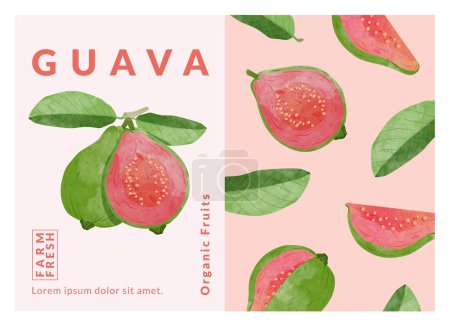 Guava Verpackungsschablone Vektor Illustration 