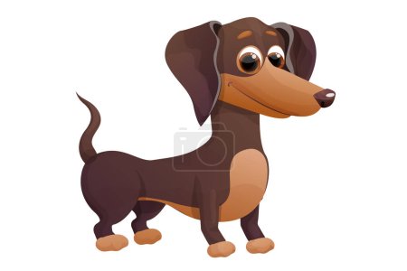 Lindo cachorro salchicha, de pie y sonriendo en estilo de dibujos animados, personaje mascota brillante aislado sobre fondo blanco. Ilustración vectorial