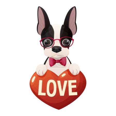 Illustration for Cute boston terrier dog with heart, text Love, adorable pet in cartoon style isolated on white background. Comic emotional character, funny pose. Vector illustration - Royalty Free Image