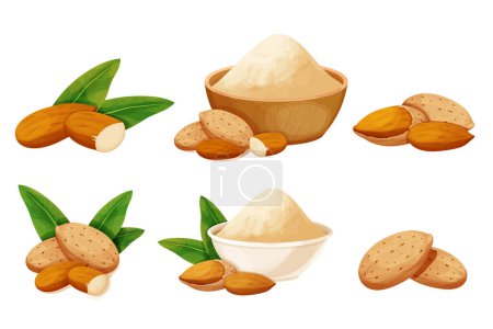 Illustration for Set almond in nutshell with leaves detailed raw nut, almond powder in bowl organic product, ingredient in cartoon style isolated on white background. Ripe plant, snack. Vector illustration - Royalty Free Image