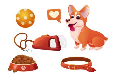 Set accessory corgi dog sitting, adorable pet, bowl with food, leash in cartoon style isolated on white background. Comic emotional character, funny pose. Vector illustration