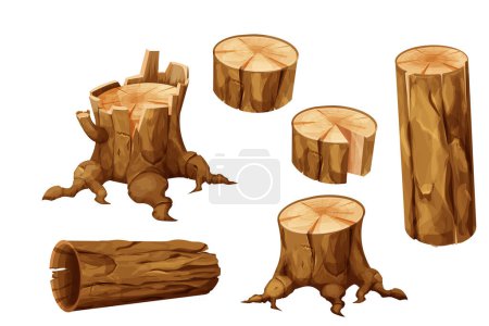Illustration for Set Wooden stump forest tree trunk with roots, log, cut section in cartoon style isolated. Plant detailed. . Vector illustration - Royalty Free Image