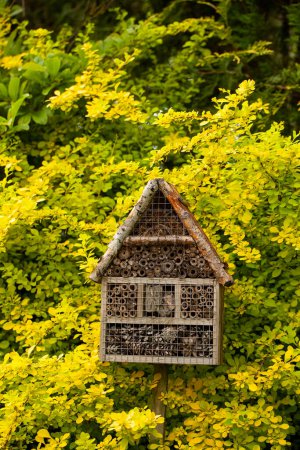 A bug house is a hotel for insects that provides shelter in the summer garden among the flowers