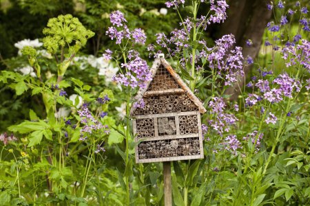 A bug house is a hotel for insects that provides shelter in the summer garden among the flowers