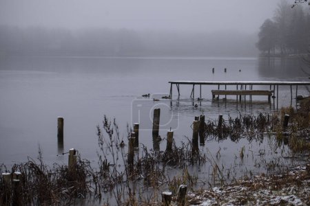 Ein düsterer und trüber Wintertag am Ufer des Bernardine Lake. Trakai, Litauen.