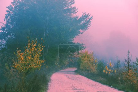 Photo for Dirt country road in the early misty morning. Rural landscape - Royalty Free Image