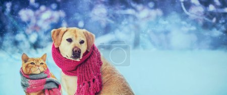 Téléchargez les photos : Funny dog and cat in a knitted scarf are sitting together on the snow in winter. Christmas scene - en image libre de droit