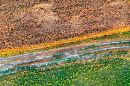 Téléchargez les photos : Top view of the rural landscape. Wheat field, dirt road, and virgin lands - en image libre de droit