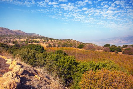 Photo for Hills near the Sea of Galilee, Israel - Royalty Free Image