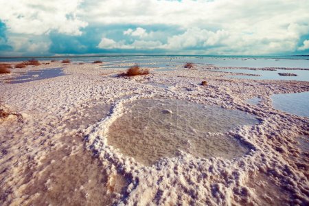 Foto de Mar muerto costa salada - Imagen libre de derechos