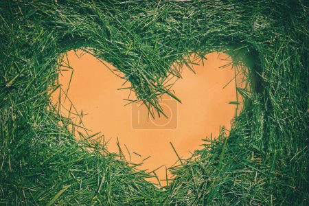 Photo for Orange heart on cutting fresh grass from lawn - Royalty Free Image