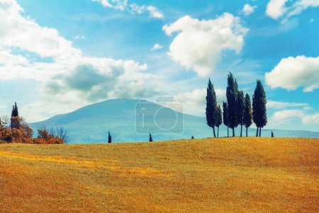 Téléchargez les photos : Belle nature de l'Italie. Paysage toscan au printemps. Champs roulants gazonnés sur les collines contre le mont - en image libre de droit