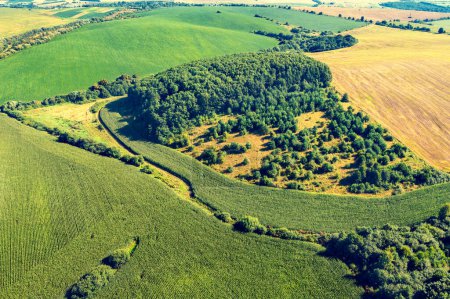 View from above of countryside. View of agriculture fields with groves in summer
