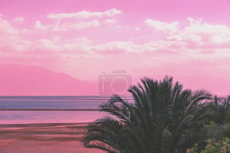 Seascape at pink sunrise. Dead Sea shore with palms. View of Jordan from Israel