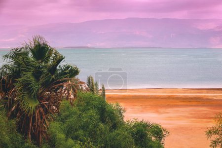 Seascape at pink sunrise. Dead Sea shore with palms. View of Jordan from Israel
