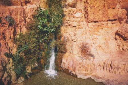 Cascade David dans la réserve naturelle Ein Gedi. Israël