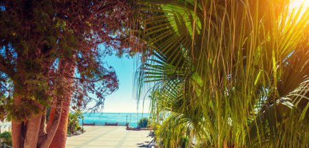 Uferböschung mit Palmen im Sommer. Nerja, Malaga, Spanien. Horizontales Banner