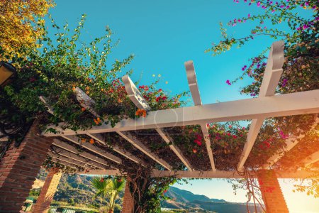 Wooden terrace with flowering plants. Wooden roof of terrace decorated with flowers on a sunny day