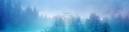Snow-covered spruce trees on the mountainside during sunrise in winter. Winter rural landscape  Horizontal banner