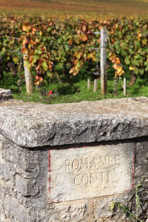Romanee Conti vineyards in Burgundy, France