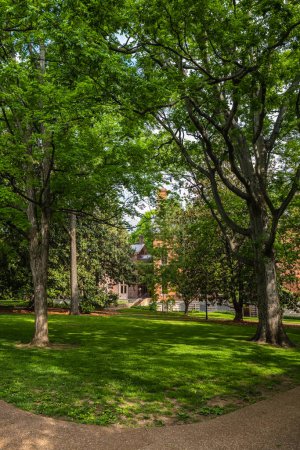 Foto de Hermoso campus universitario con exuberante paisaje - Imagen libre de derechos