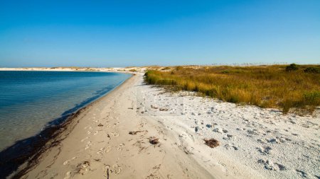 Foto de Hermosa playa de Perdido en Pensacola, Florida
. - Imagen libre de derechos